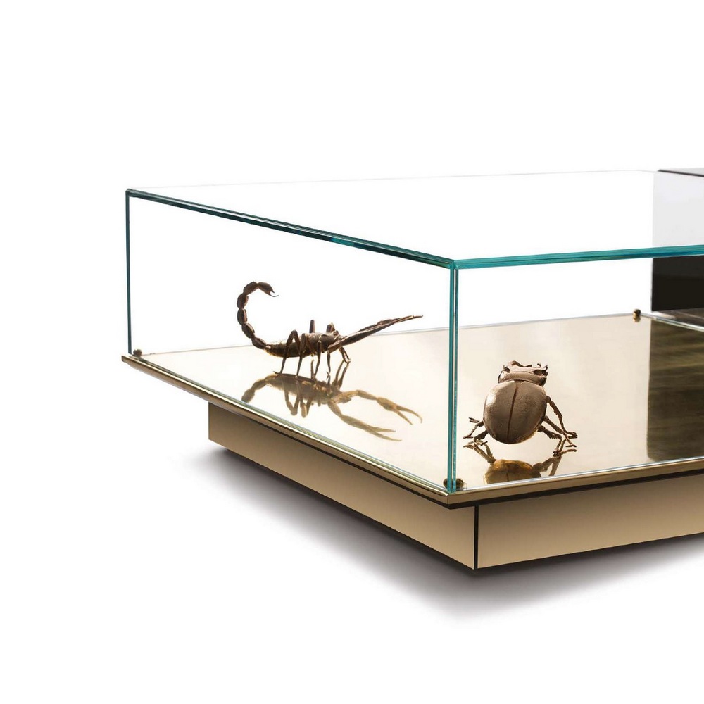 METAMORPHOSIS20CT 01